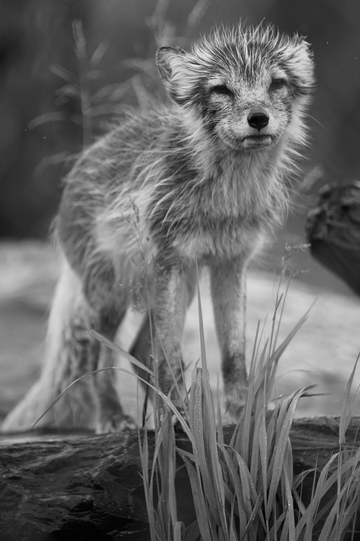 Photograph by Andrew Liang, Aug 4, 2026