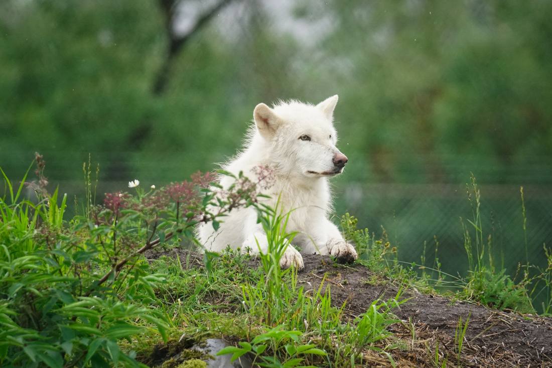 Photograph by Andrew Liang, Aug 4, 2026