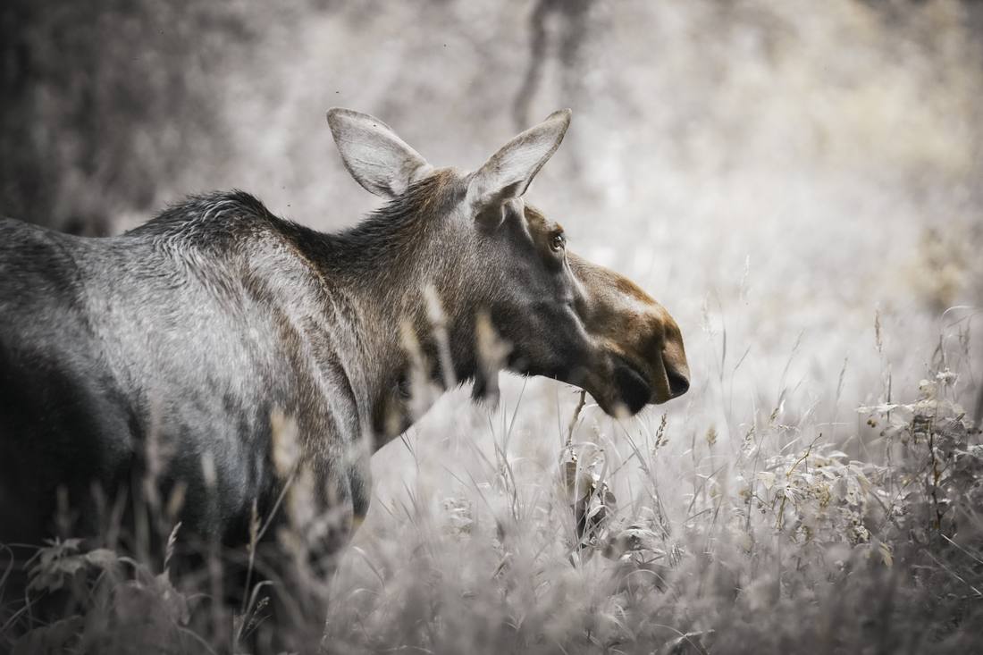 Photograph by Andrew Liang, Aug 7, 2026