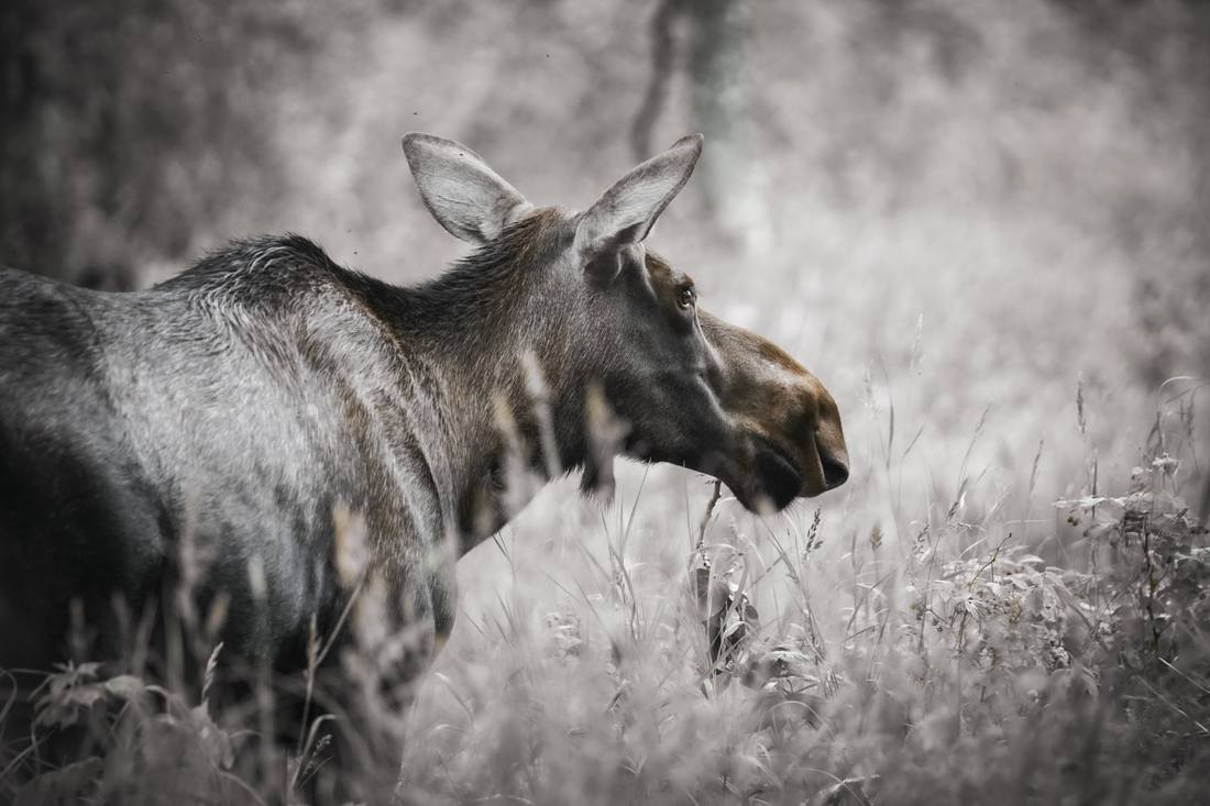 Photograph by Andrew Liang, Aug 7, 2026