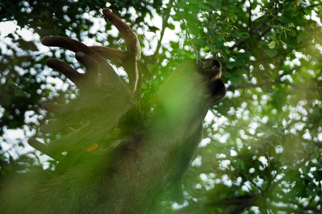 Photograph by Andrew Liang, Aug 7, 2026