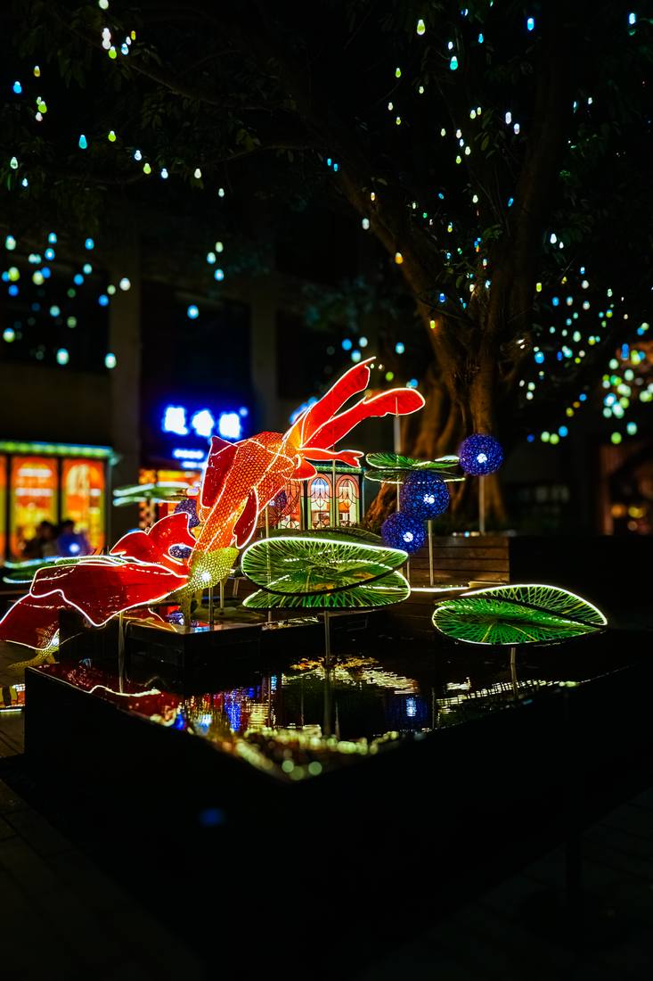 Photograph by Andrew Liang, Jan 11, 2026