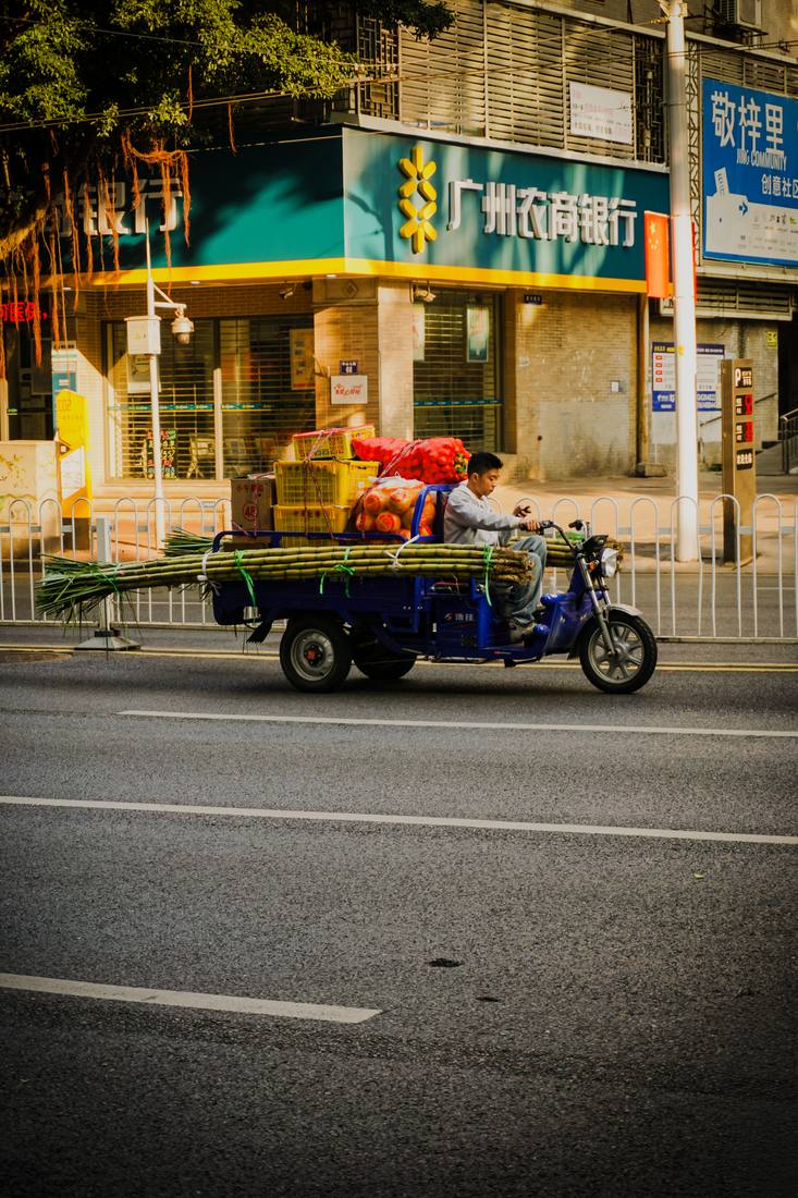 Photograph by Andrew Liang, Jan 11, 2026