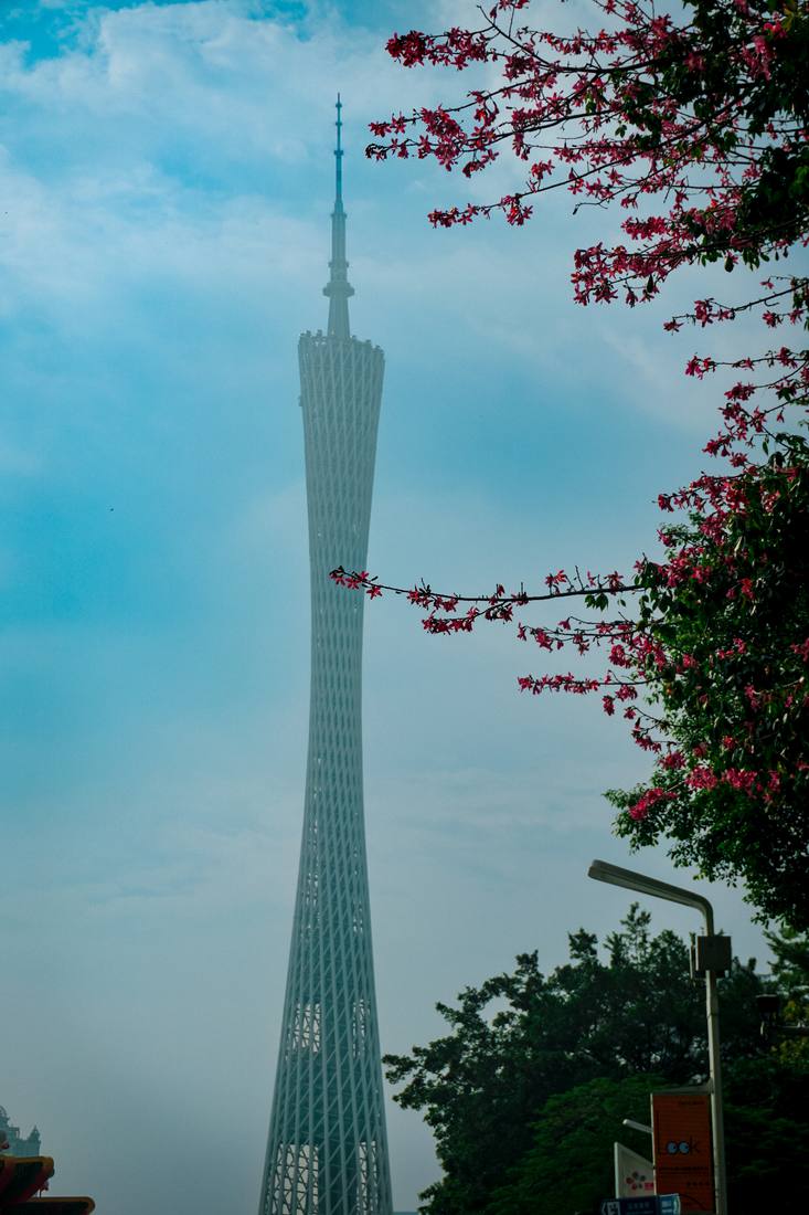 Photograph by Andrew Liang, Jan 11, 2026