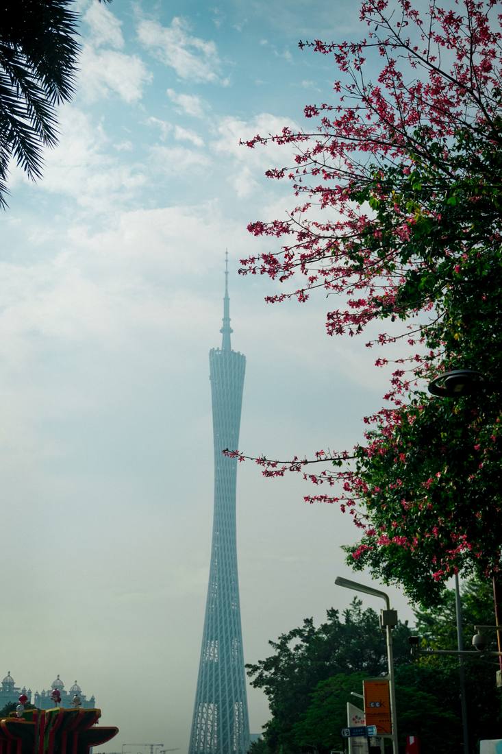 Photograph by Andrew Liang, Jan 11, 2026