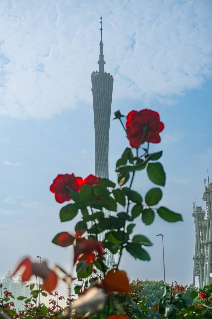 Photograph by Andrew Liang, Jan 11, 2026