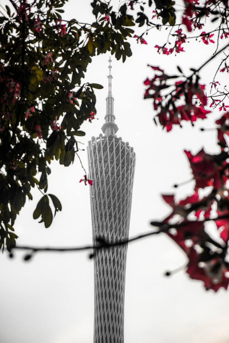 Photograph by Andrew Liang, Jan 3, 2026