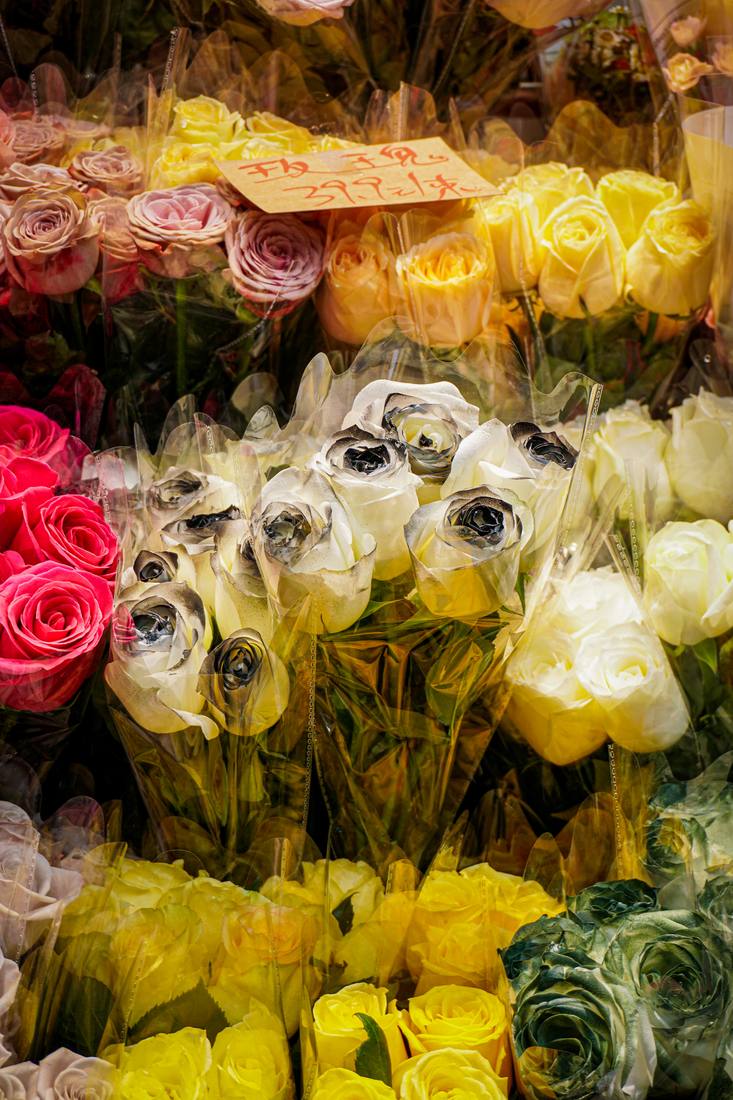 Photograph by Andrew Liang, Jan 24, 2026