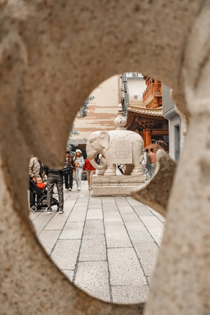 Photograph by Andrew Liang, Jan 24, 2026