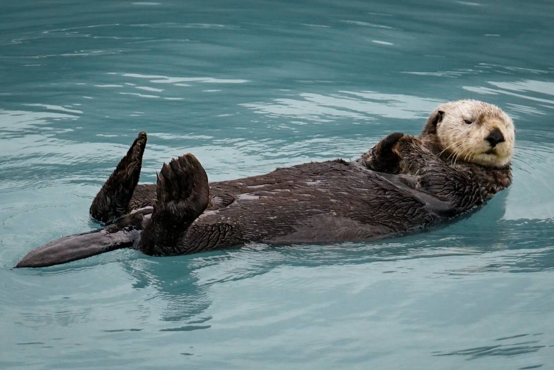 Photograph by Andrew Liang, Aug 7, 2026