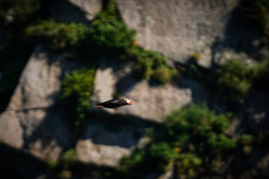 Photograph by Andrew Liang, Aug 7, 2026