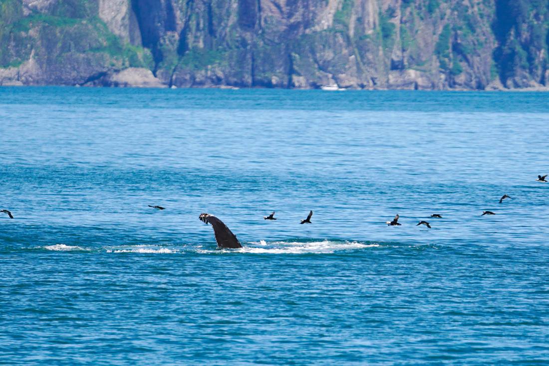 Photograph by Andrew Liang, Aug 7, 2026