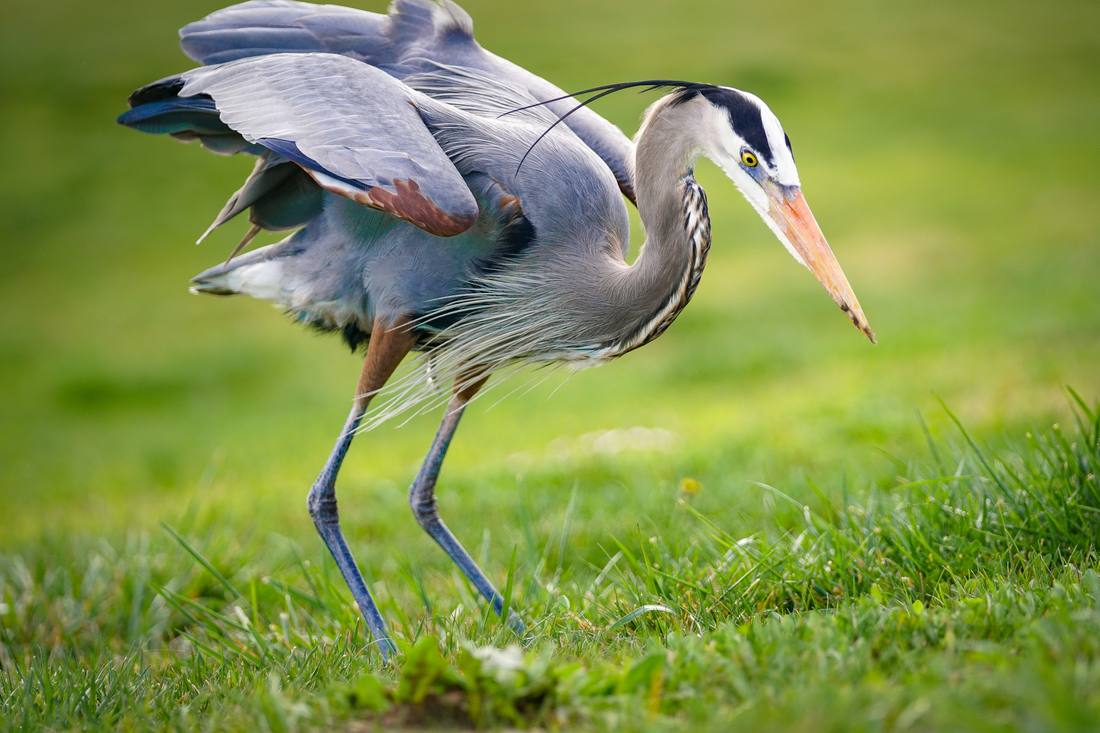 Photograph by Andrew Liang, Feb 20, 2026