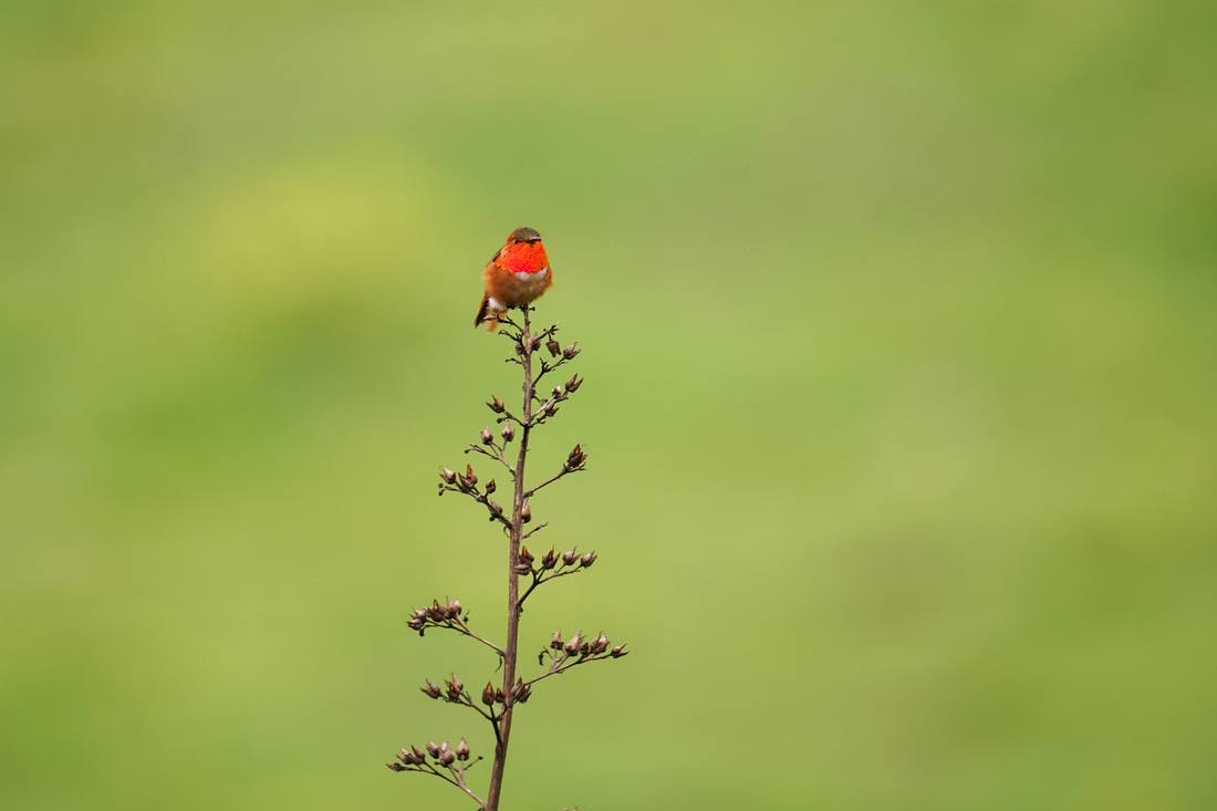 Photograph by Andrew Liang, Mar 3, 2026