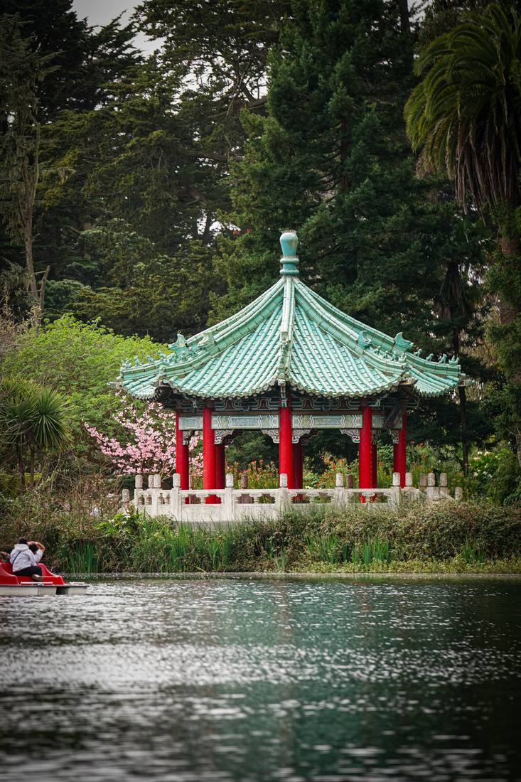 Photograph by Andrew Liang, Mar 3, 2026