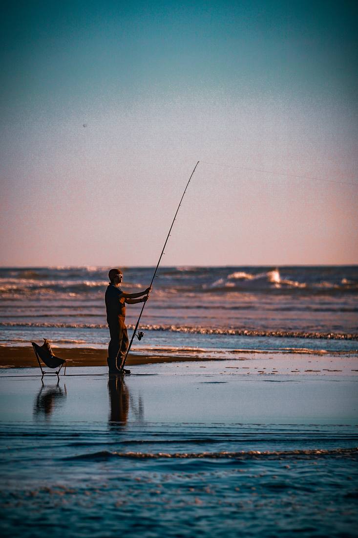 Photograph by Andrew Liang, Mar 4, 2026