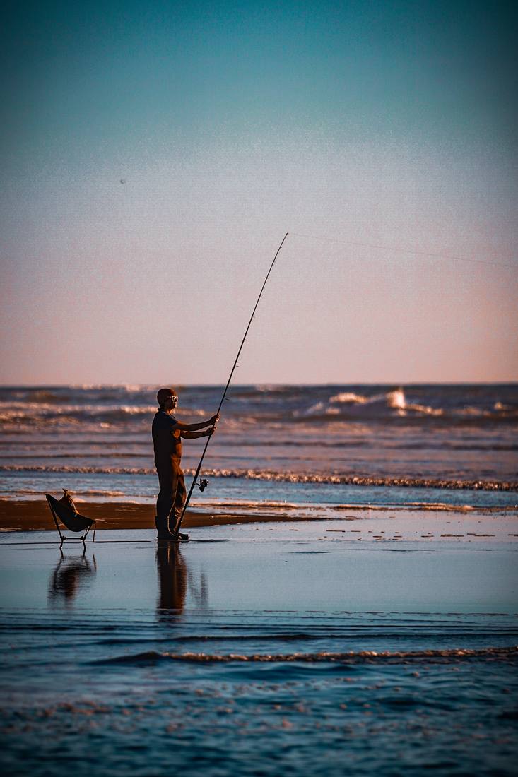Photograph by Andrew Liang, Mar 3, 2026