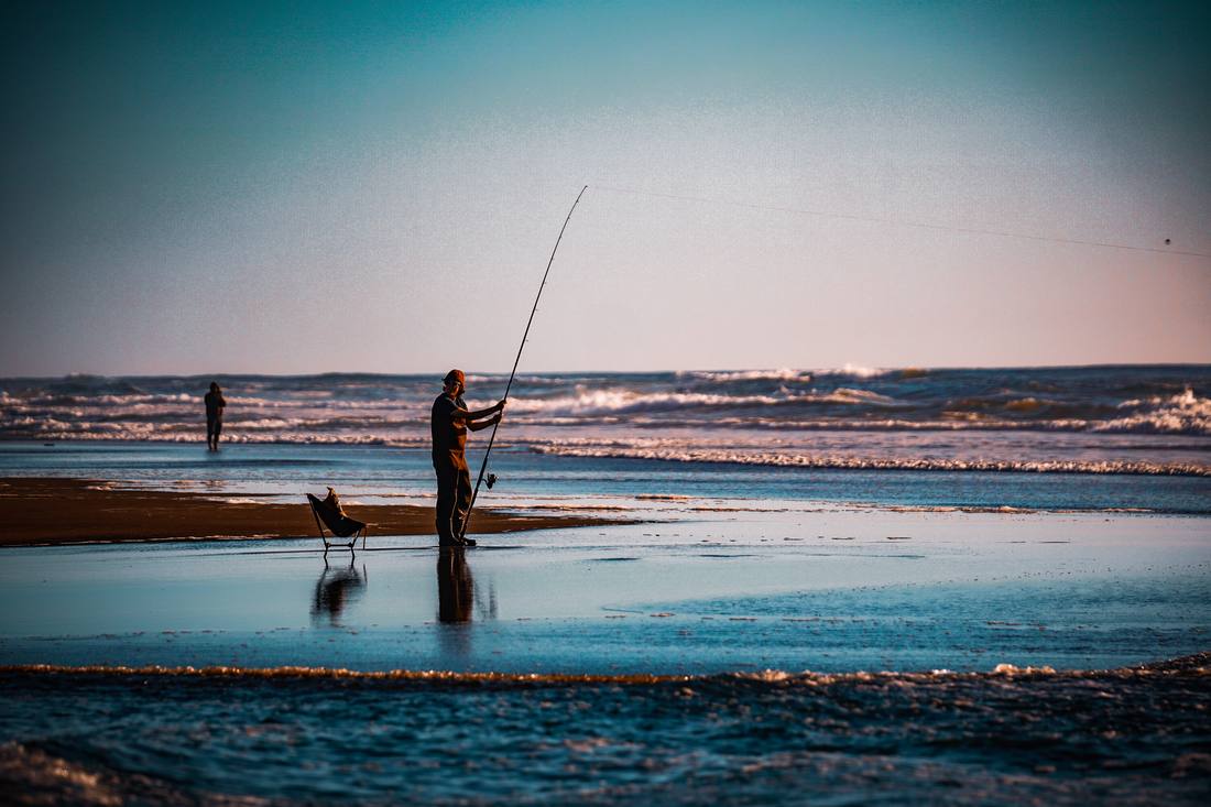 Photograph by Andrew Liang, Mar 3, 2026