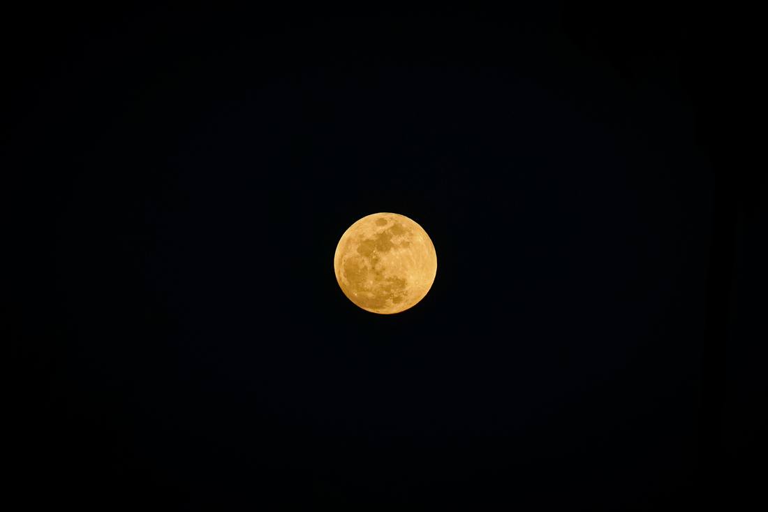 Photograph by Andrew Liang, Mar 3, 2026