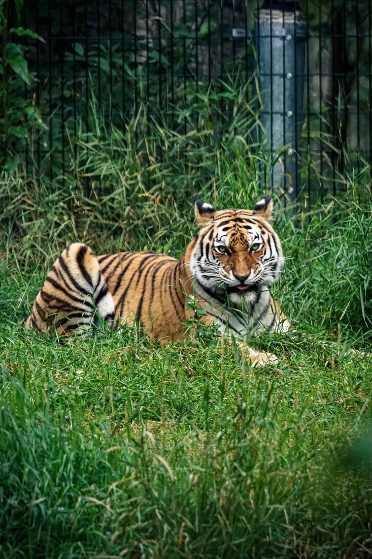 Photograph by Andrew Liang, Aug 15, 2026