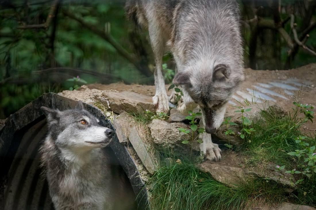 Photograph by Andrew Liang, Aug 15, 2026