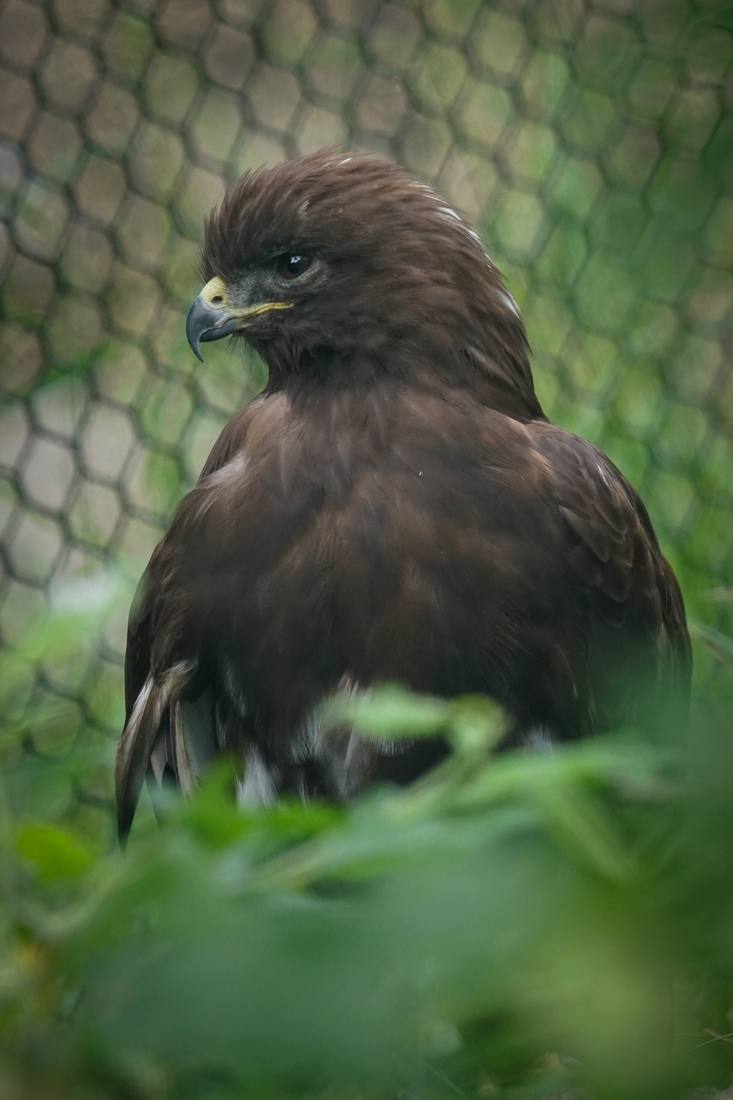 Photograph by Andrew Liang, Aug 15, 2026