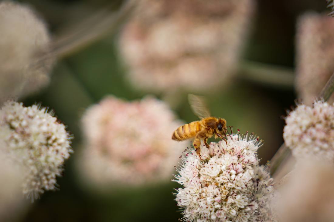 Photograph by Andrew Liang, Jul 14, 2026