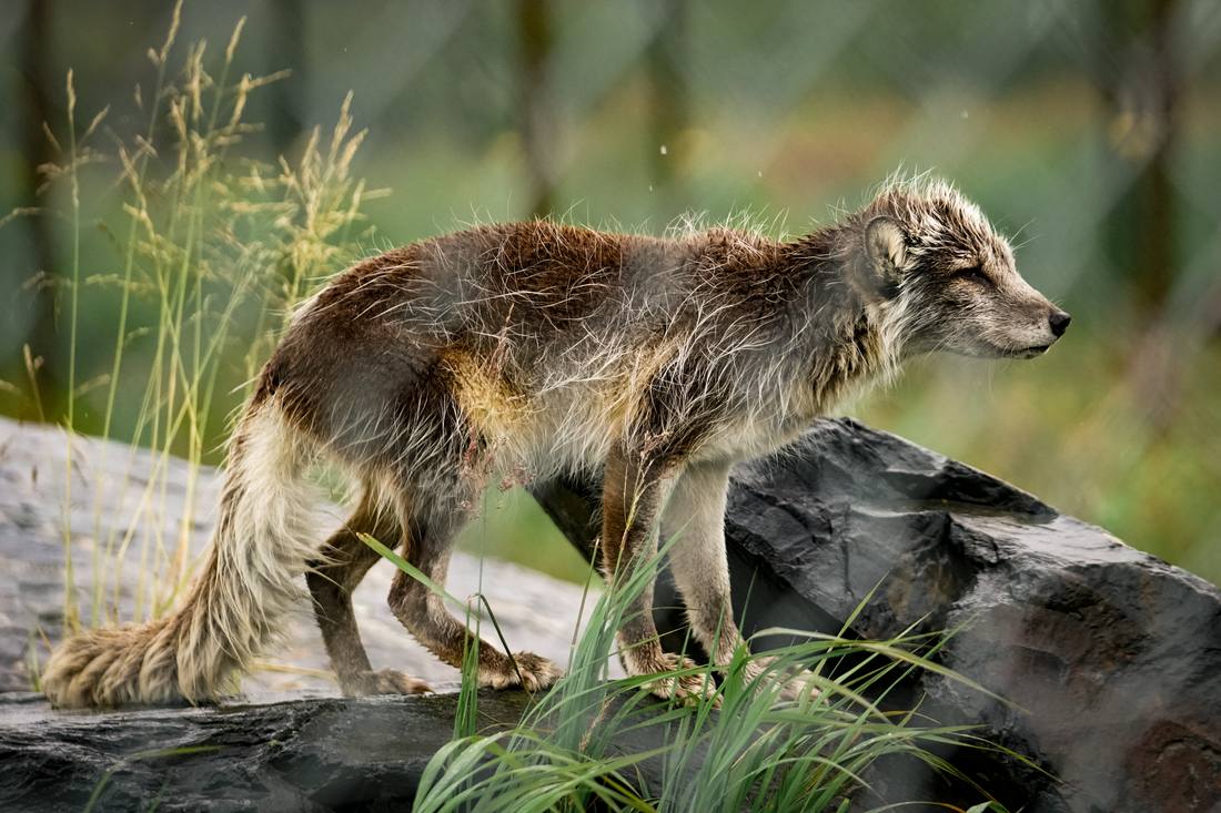 Photograph by Andrew Liang, Aug 4, 2026