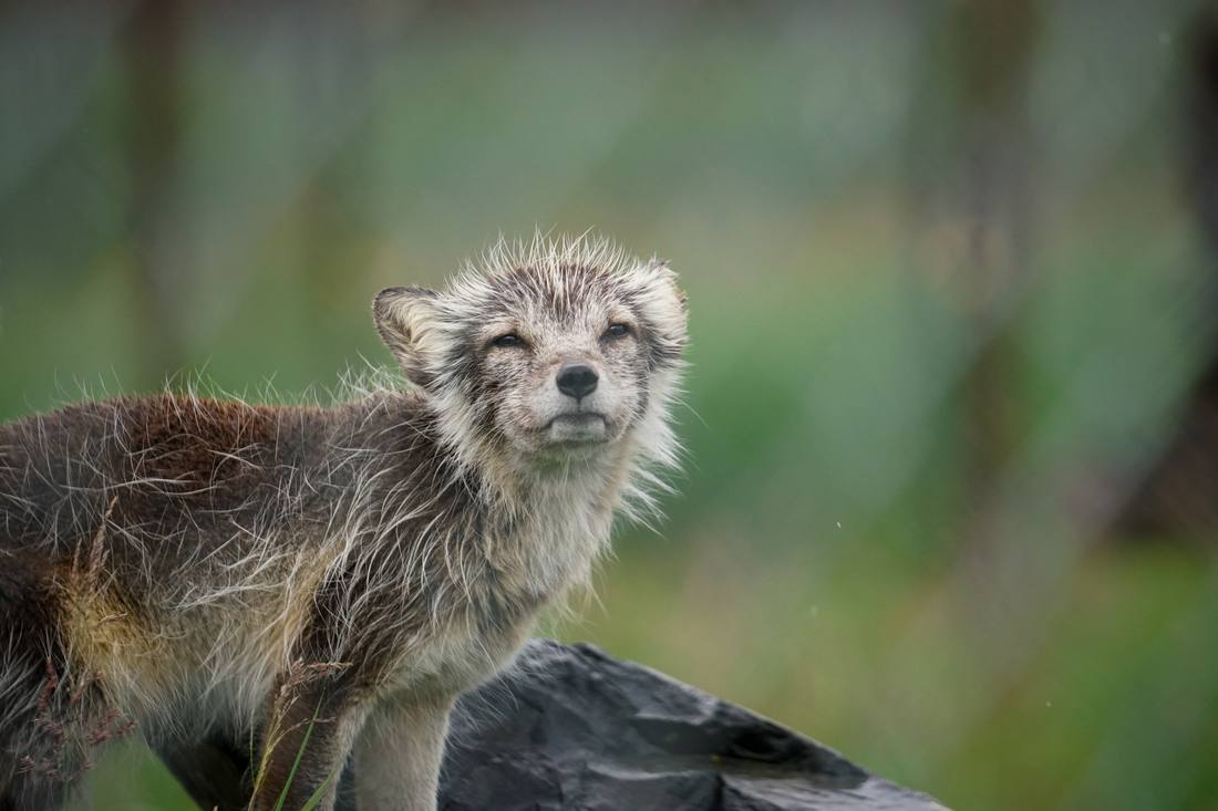 Photograph by Andrew Liang, Aug 4, 2026