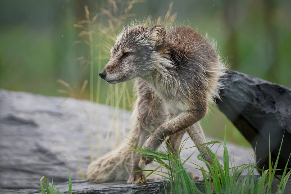 Photograph by Andrew Liang, Aug 4, 2026