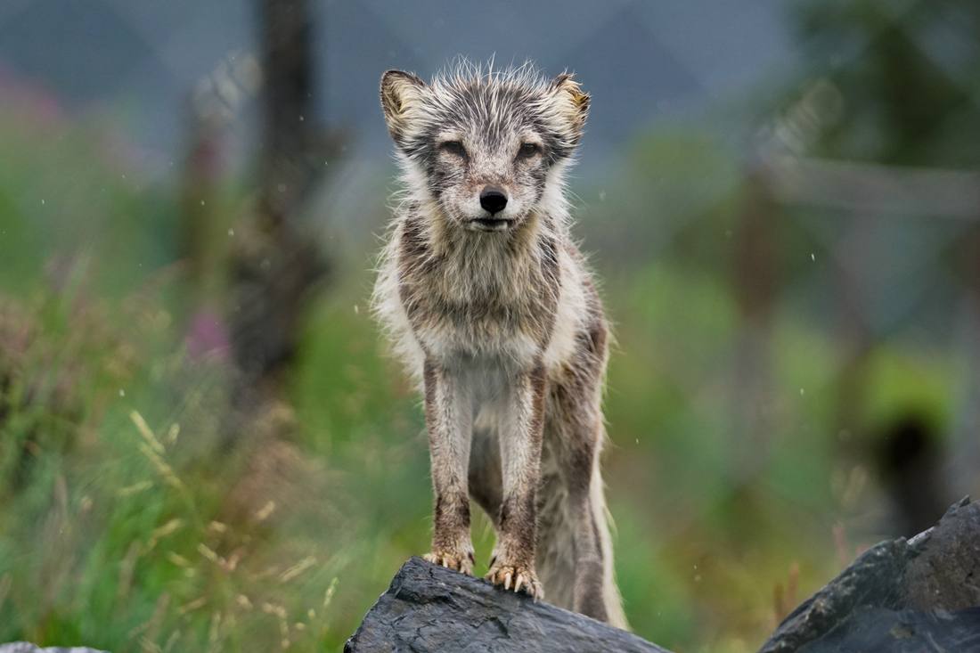 Photograph by Andrew Liang, Aug 4, 2026
