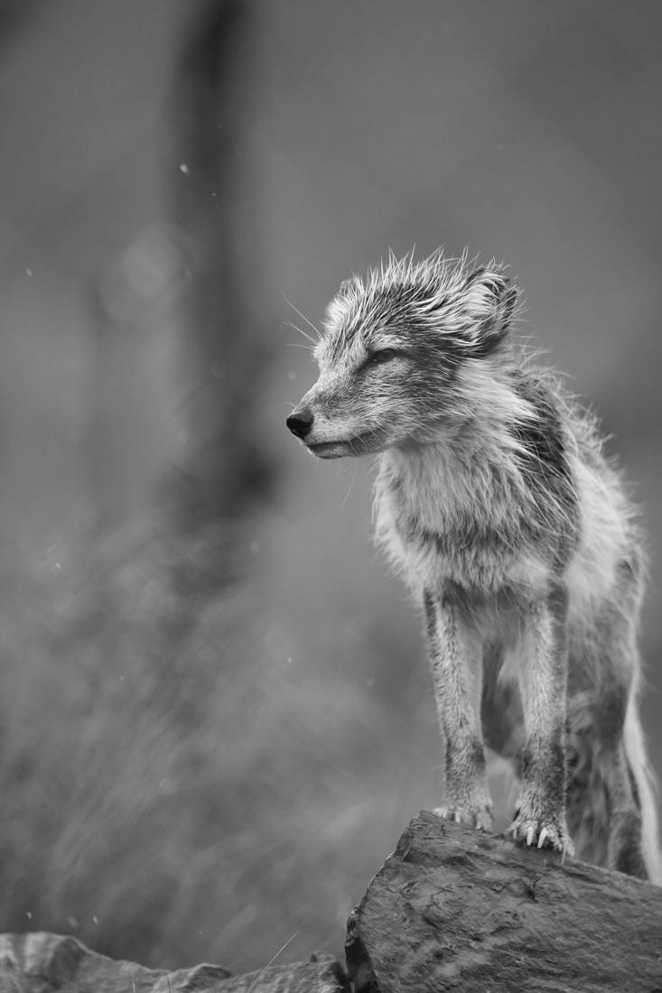 Photograph by Andrew Liang, Aug 4, 2026