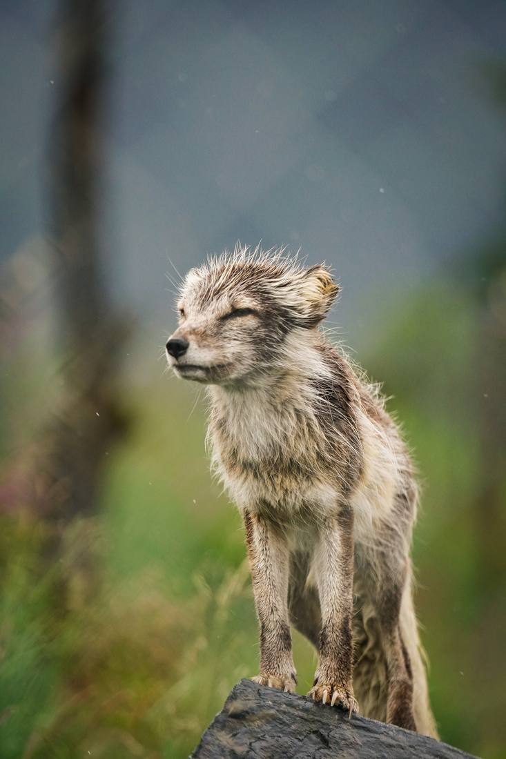 Photograph by Andrew Liang, Aug 4, 2026
