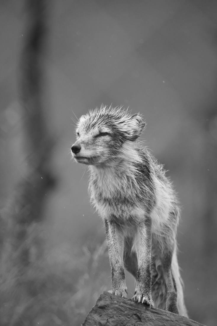 Photograph by Andrew Liang, Aug 4, 2026