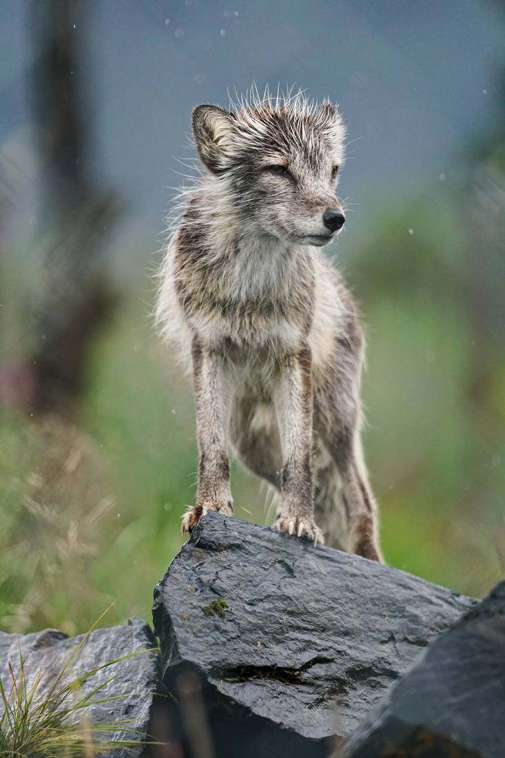 Photograph by Andrew Liang, Aug 4, 2026