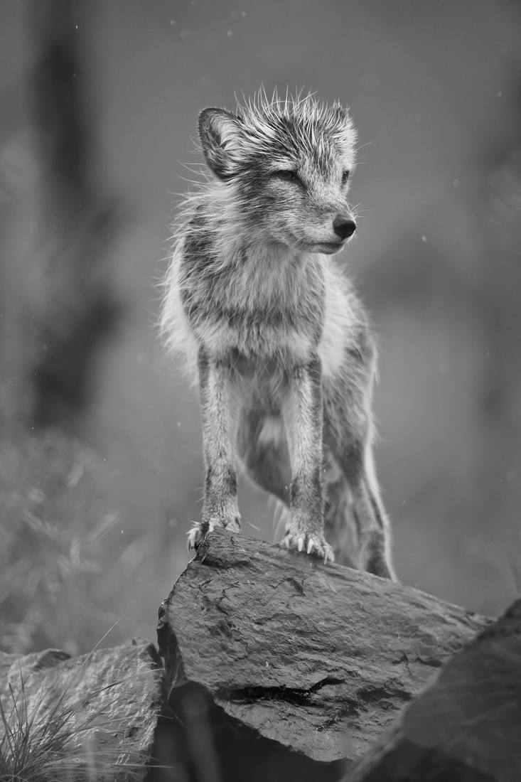 Photograph by Andrew Liang, Aug 4, 2026