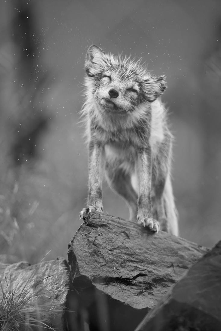 Photograph by Andrew Liang, Aug 4, 2026
