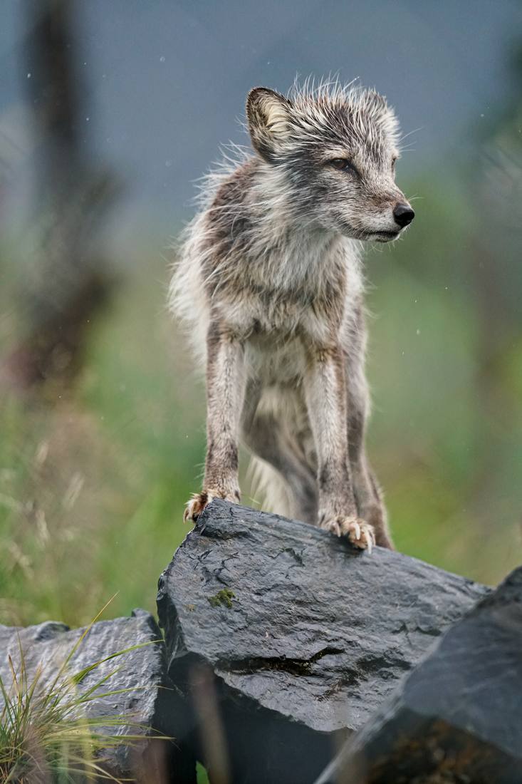 Photograph by Andrew Liang, Aug 4, 2026