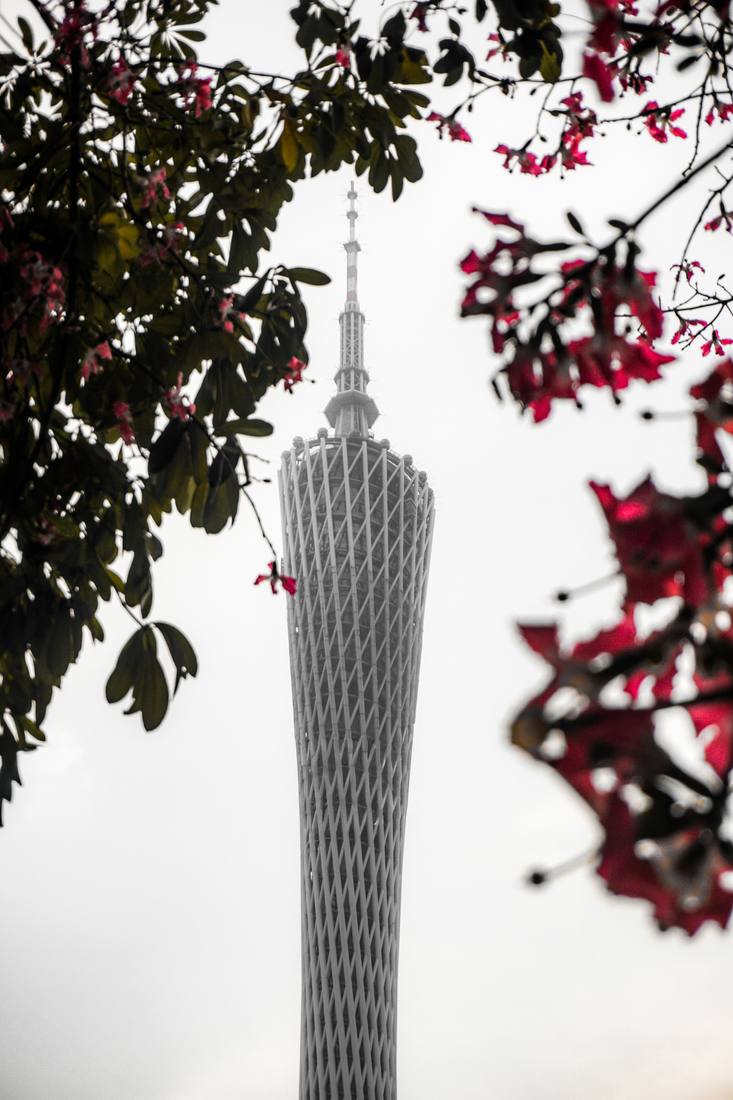 Photograph by Andrew Liang, Jan 3, 2026
